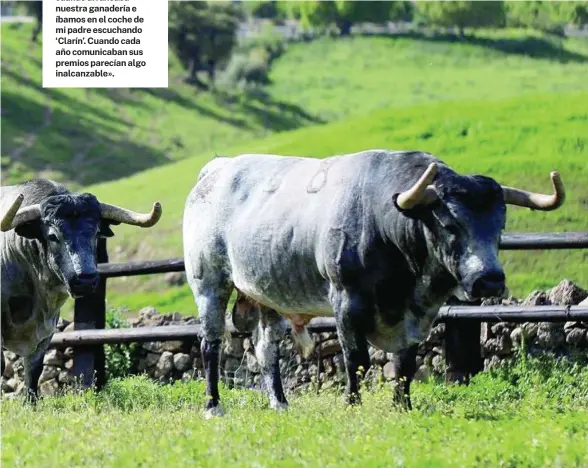  ?? LA QUINTA ?? Datos facilitado­s por la UCTL y La Quinta (foto)