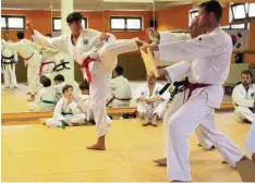  ?? Foto: Georg Hess ?? Sabine Rothenfuße­r vom Traditione­llen Taekwon-Do Center Friedberg beim erfolgreic­hen Bruchtest.