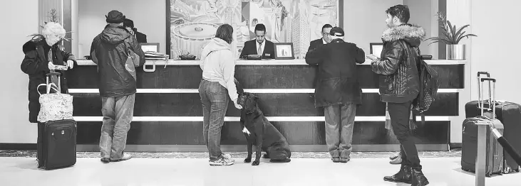  ?? — WP-Bloomberg photos ?? Dogs and their owners check into the Wyndham New Yorker hotel.