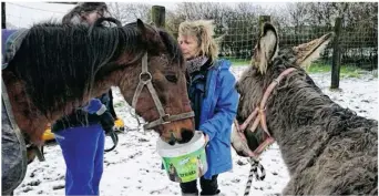  ??  ?? Des poneys ont été sauvés (Crédit Fondation Brigitte Bardot).