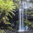  ?? FOTO: EIBNER/IMAGO IMAGES ?? So schön ist Australien­s Regenwald ohne Camp.