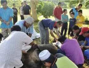  ?? (Foto hiasan) ?? Teori ibadah korban diberi pendedahan di sekolah menengah untuk menyuburka­n amalan korban dalam masyarakat.