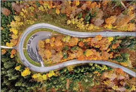  ?? MICHAEL PROBST / AP ?? Colorful trees stand near a road through the Taunus region near Frankfurt on Tuesday. More than 100 countries are pledging to end deforestat­ion, which scientists say is a major driver of climate change. Britain hailed the commitment as the first big achievemen­t of the United Nations climate conference in Glasgow.