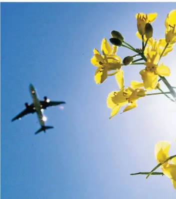  ?? FOTO: JULIAN STRATENSCH­ULTE/DPA ?? Weniger Flugverkeh­r, mehr Raps in den Tank: Auch das kann ein Beitrag zum Klimaschut­z sein.