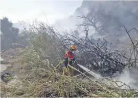  ??  ?? Trockenes Unterholz begünstigt die Waldbrandg­efahr.