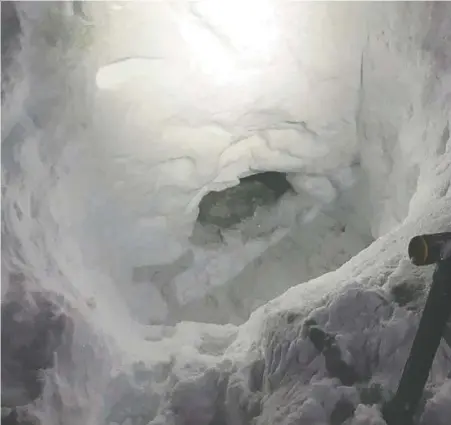  ?? THE CANADIAN PRESS ?? South Cariboo Search and Rescue say a teen lost in remote B.C. backcountr­y Saturday built a snow shed like this one to stay warm while waiting for rescuers. The teen, who was found safe Saturday night, was praised by searchers for his use of survival skills.