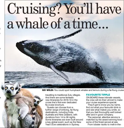  ??  ?? GO WILD: You could spot humpback whales and lemurs during a far-flung cruise