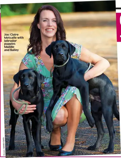 ??  ?? Joy: Claire Metcalfe with labrador puppies Maddie and Bailey