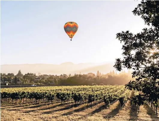  ?? CAYCE CLIFFORD/FOR THE WASHINGTON POST ?? rising above the Domaine Chandon winery.