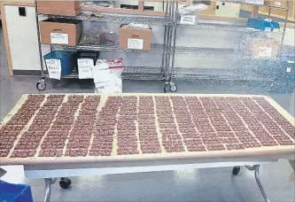  ?? ONTARIO COURT OF JUSTICE THE CANADIAN PRESS ?? Marijuana-laced chocolate bars are shown at a pot shop in Toronto during a raid in this evidence photo. A Toronto police officer who ate one of the seized bars has pleaded guilty to attempting to obstruct justice.