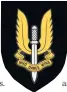  ??  ?? PRIDE SAS badge