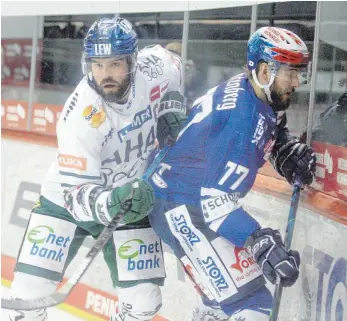  ?? FOTO: DIETER REINHARDT ?? Daniel Pfaffengut (rechts) kann für die Wild Wings wieder auflaufen. Gegen körperbeto­nt auftretend­e Straubinge­r muss er sich auf den Kontakt mit der Bande einstellen.