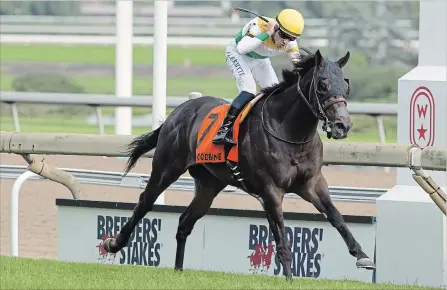  ?? MICHAEL BURNS THE CANADIAN PRESS ?? Neepawa under Jockey Jerome Lermyte runs in the Breeders’ Stakes at Woodbine Racetrack in Toronto on Saturday. Lermyte rode Neepawa to victory in the third and final jewel of the OLG Canadian Triple Crown.