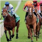 ??  ?? Te Akau Shark (right) was just pipped by Kolding in the Epsom Handicap in Sydney 10 days ago.