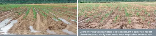  ?? FOTO: KLAAS MALAN FOTO: KLAAS MALAN ?? Heelwat water het voorheen weggespoel nadat ’n swaar bui reën geval het, soos op dié foto van ’n land wat nog geploeg word. Geenbewerk­ing word op hierdie land toegepas. Dit is opmerklik hoedat die reënwater nou vinnig intrek en nie meer wegvloei nie....