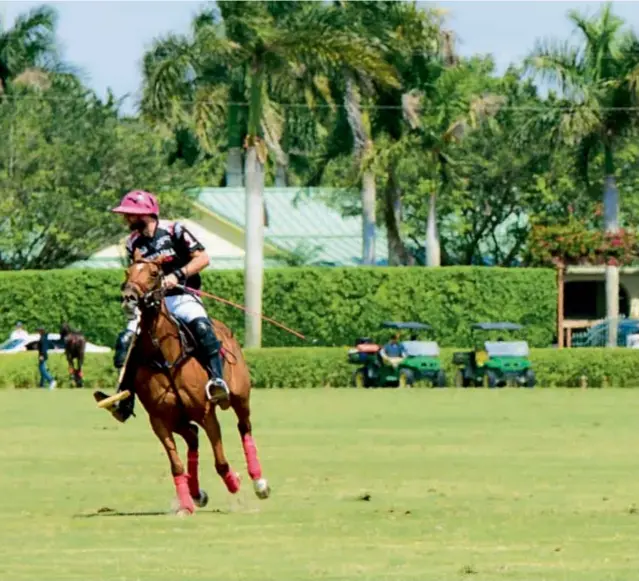  ??  ?? Así como ocurre en cada partido que disputan Ellerstina y La Dolfina, hubo clima de final. El resultado fue 14-10 a favor del equipo de Cambiaso, aunque la figura, por el esfuerzo, fue Facundo. A Adolfo lo alentaron María Vázquez y sus hijos.