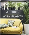  ??  ?? Ian Drummond and Kara O’Reilly celebrate the wonder of decorating with house plants. (Octopus Publishing Group, £ 20)