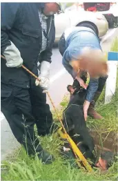  ?? FOTO: FEUERWEHR ?? Wegberger Feuerwehrl­eute mussten auch schon einen Hund aus einem Kanalschac­ht retten.