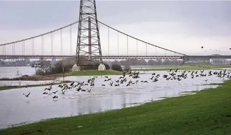  ?? RP-FOTO: MARKUS VAN OFFERN ?? Der Rhein gestern bei Warbeyen: Das Wasser ist über das Ufer auf die Wiesen getreten.