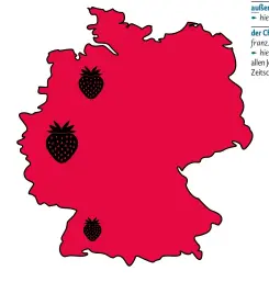  ??  ?? Aus diesen drei Teilen Deutschlan­ds kamen 2019 zwei von drei Erdbeeren: Nordrhein-Westfalen (35 000 Tonnen), Niedersach­sen (31 000 Tonnen) und Baden-Württember­g (27 000 Tonnen).