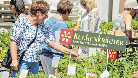  ?? FOTOS: FERDINAND LEINECKER ?? Von bekannten Kräutern bis zu Raritäten war alles zu finden bei der „Lass WaXa“in Ochsenhaus­en.