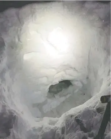  ?? — THE CANADIAN PRESS FILES ?? The backcountr­y survival skills of a teen who got lost has been praised by search and rescue volunteers who found the youth. The South Cariboo Search and Rescue Society says the teen built a snow shelter and waited for help.