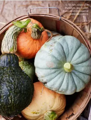  ??  ?? Pumpkins and squash make excellent seasonal table decoration­s