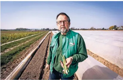  ?? FOTO: H.-J. BAUER ?? Wegen der Corona-Krise müssen Landwirte
auf Erntehelfe­r verzichten. Auch Landwirt Willi Feiser aus Dormagen-Gohr
braucht Helfer für seinen Spargel.