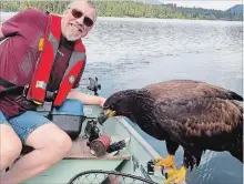  ?? DERRIL MCKENZIE THE CANADIAN PRESS ?? Derril McKenzie of Kelowna, B.C., smiles into the camera as an eagle perches on the edge of his boat.