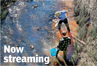  ?? [PHOTOS BY JIM BECKEL, THE OKLAHOMAN] ?? Daniel C. Allen, right, a biology professor at the University of Oklahoma, is leading a $3 million research project across the United States to study what happens to streams when they go dry. Doctoral student Darin Kopp helps examine samples from Elm Creek under a bridge on Indian Hills Road near Norman on Monday.