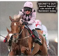  ?? ?? SECRET’S OUT: Secret Squirrel can score at Sandown today