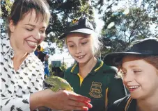  ?? Picture: JOHN APPLEYARD ?? Australian Museum’s amphibian expert Jodi Rowley shows a green tree frog to Camdenvill­e Primary School students Ruby Harris, 10, and Mabel Furno, 8, in Sydney’s Newtown.