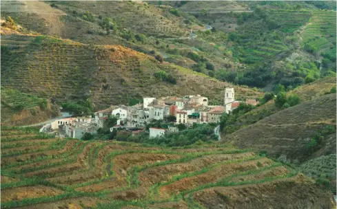  ??  ?? Above: the village of Porrera nestles ‘like a feather on a stormy sea of brown rock’ in Catalonia’s Priorat region