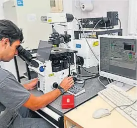  ?? (LA VOZ) ?? Laboratori­o. El Ciquibic, de la Universida­d Nacional de Córdoba.