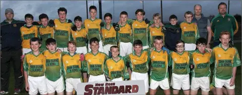  ??  ?? The HWH-Bunclody panel prior to their loss in the New Ross Standard Under-14 football Division 1 shield final.