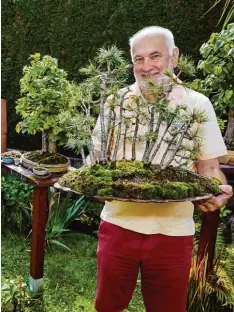  ?? Foto: Klaus Rainer Krieger ?? Besonders stolz ist Bonsai Züchter Lampert Drey auf seinen Lärchen Wald im Minia turformat.