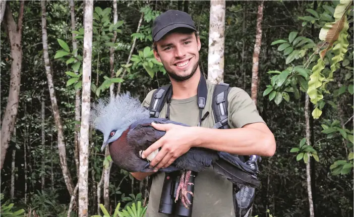  ?? FOTO: PRIVAT / ARJAN DWARSHUIS ?? REKORD. Arjan Dwarshuis slog världsreko­rdet i flest observerad­e fågelarter på ett år, men han jobbade också för fågelskydd hela året. I Papua Nya Guinea köpte han en rödbröstad kronduva för att släppa den fri i naturen.