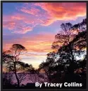  ??  ?? By Tracey Collins