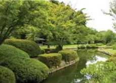  ?? FOTO ROB WALBERS ?? Kairakuen Garden, een van de mooiste landschaps­tuinen van Japan. Hier zullen de Belgen toertjes lopen volgens een strikte planning.