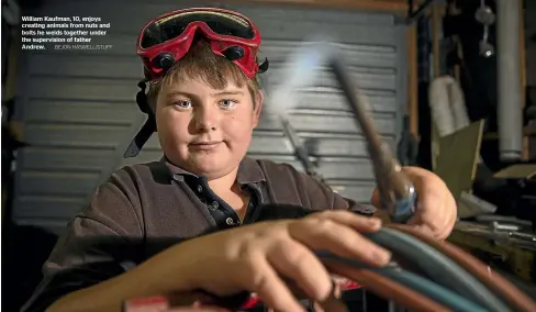  ?? BEJON HASWELL/STUFF ?? William Kaufman, 10, enjoys creating animals from nuts and bolts he welds together under the supervisio­n of father Andrew.