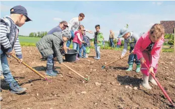  ?? SZ-FOTO: KOU ?? Viele Helfer hatten Landwirt Martin Stetter und Renate Mauz auf dem Feld am Ortsausgan­g von Bach – hier entsteht eine Blühwiese für Bienen, Schmetterl­ingen und andere Insekten.