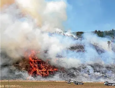  ??  ?? An investigat­ion has found that sparks from a disc plough ignited dry grass in Pigeon Valley on February 5, sparking the wildfire that burned over 2300 hectares.