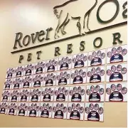  ?? Rover Oaks Pet Resort ?? In 2015, Rover Oaks raised more than $35,000 for Mission K9 Rescue through Operation: War Dogs.