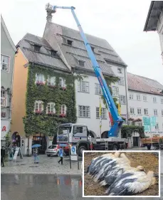  ?? FOTOS: SCHUMACHER ?? Die angemietet­e Spezial-Hebebühne am Dienstag vor dem Rathaus, oben im Korb arbeiten Ute Reinhard und Ulrike Maruszczak.