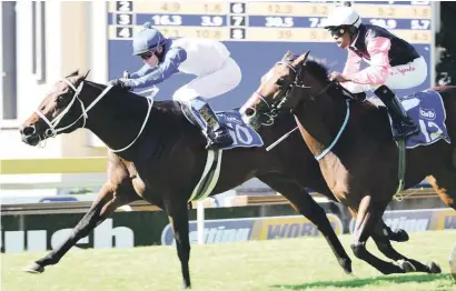  ??  ?? TOUGH BATTLE. Vicente (Blue and white colours) is a key runner in Race 7 at Kenilworth tomorrow but at the weights Vaughan Marshall’s charge can expect a strong challenge from Al Wahed.