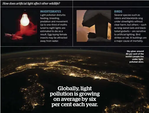  ??  ?? Globally, light pollution is growing on average by six per cent each year. Sky glow: around 80 per cent of the world’s people live under lightpollu­ted skies.