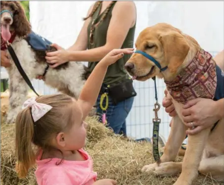  ?? THE ASSOCIATED PRESS ?? Canine Partners for Life plans an annual Open House and Cow Bingo on Saturday, Sept. 15 from noon to 4 p.m. The event is pet friendly.