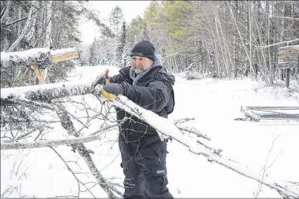  ?? FRAM DINSHAW/ TRURO NEWS ?? For Brian Sullivan, a park groomer with the Town of Truro, clearing away downed tree branches is a routine part of the job. He uses a snowmobile, an attached groomer and tools like saws to keep Victoria Park’s trails clear during winter.