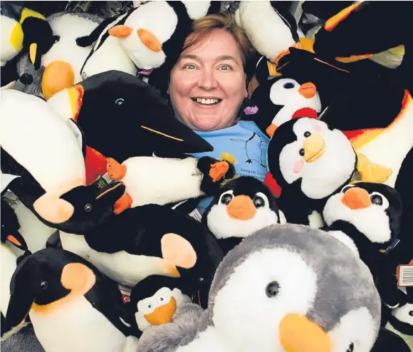  ??  ?? ■
Black and white delight: Gillian Sloan’s Fort William shop is p-p-p-packed with cuddly penguins small and large.