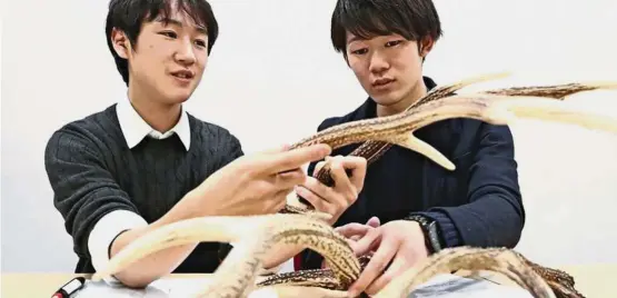  ??  ?? Problem-solving: Kohei Kagari (right) and Toshiki Miki discuss ways to utilise culled deer in Osaka. — ANN
